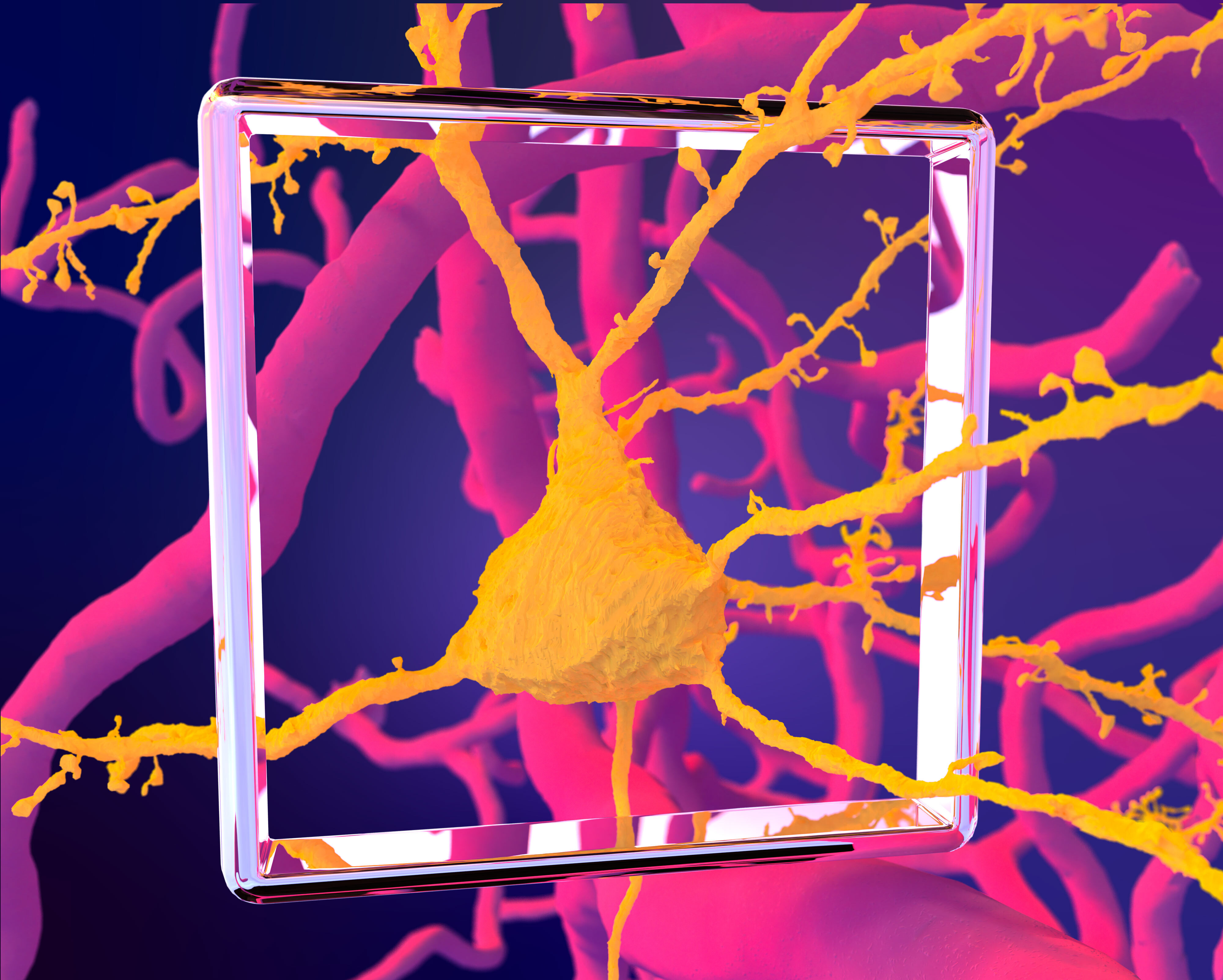 Frame of mind 4K render